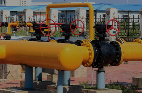 The group company has obtained a production license for industrial products