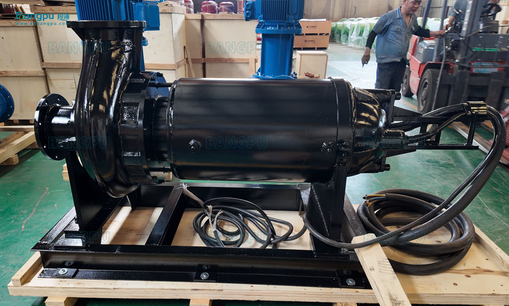 Horizontally Installed AFP Sewage Pump